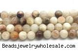 CSS853 15.5 inches 12mm round sunstone beads wholesale