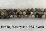 CAA1813 15.5 inches 10mm round banded agate gemstone beads