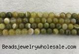 CAA1953 15.5 inches 10mm round banded agate gemstone beads