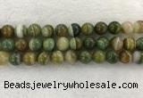 CAA1976 15.5 inches 16mm round banded agate gemstone beads