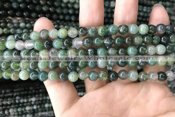 CAA2357 15.5 inches 6mm round moss agate beads wholesale