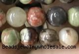 CAA2371 15.5 inches 6mm round ocean agate beads wholesale