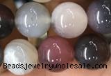 CAA2381 15.5 inches 10mm round Botswana agate beads wholesale