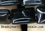 CAA2567 15.5 inches 12*16mm rectangle black agate beads wholesale