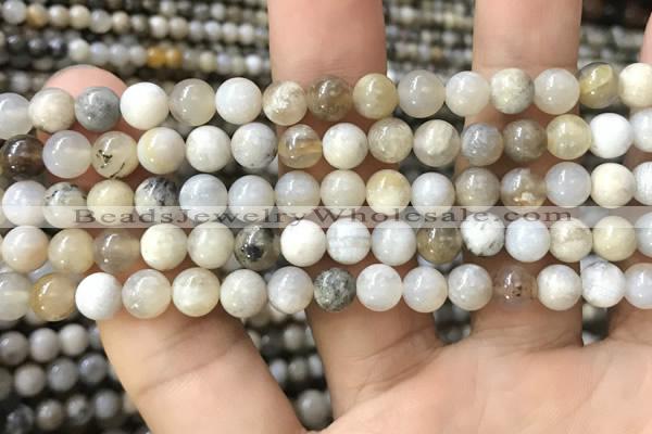 CAA3582 15.5 inches 6mm round ocean fossil agate beads wholesale