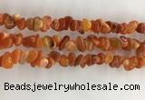 CAA3806 15.5 inches 4*6mm - 8*10mm chips red agate beads wholesale