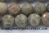 CAA3962 15.5 inches 8mm faceted round chrysanthemum agate beads