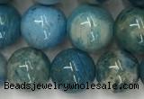 CAA3979 15.5 inches 10mm round chrysanthemum agate beads