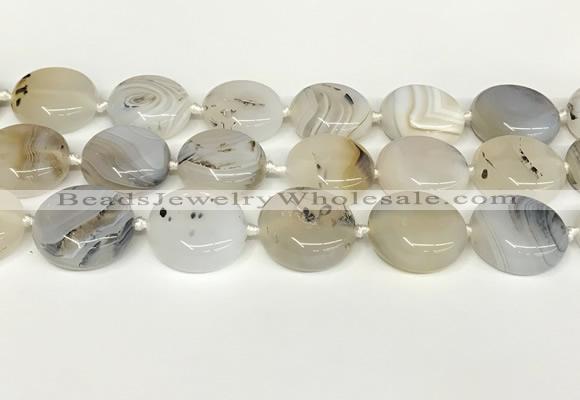 CAA4390 15.5 inches 25mm flat round Montana agate beads