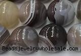 CAA4867 15.5 inches 10mm round Botswana agate beads wholesale