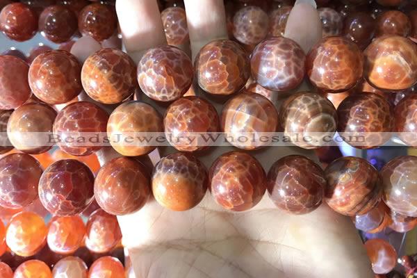 CAA5078 15.5 inches 20mm round red dragon veins agate beads