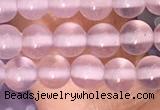 CAA5080 15.5 inches 4mm round purple agate beads wholesale