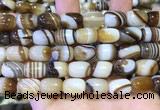 CAA5107 15.5 inches 10*14mm drum striped agate beads wholesale