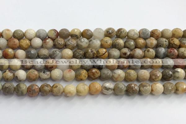 CAA5291 15.5 inches 6mm faceted round crazy lace agate beads wholesale