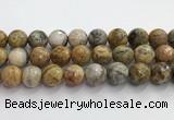 CAA5294 15.5 inches 12mm faceted round crazy lace agate beads wholesale
