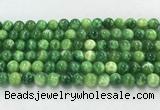 CAA5406 15.5 inches 8mm round peacock serpntine gemstone beads wholesale