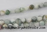 CAA700 15.5 inches 6mm round tree agate gemstone beads wholesale