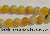 CAA89 15.5 inches 10mm round botswana agate gemstone beads