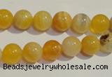 CAA90 15.5 inches 12mm round botswana agate gemstone beads