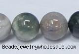 CAB436 15.5 inches 18mm round indian agate gemstone beads wholesale