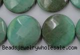 CAG1615 15.5 inches 25mm faceted coin green grass agate beads