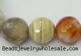 CAG1815 15.5 inches 14mm faceted round Chinese botswana agate beads