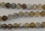 CAG2421 15.5 inches 6mm faceted round Chinese botswana agate beads