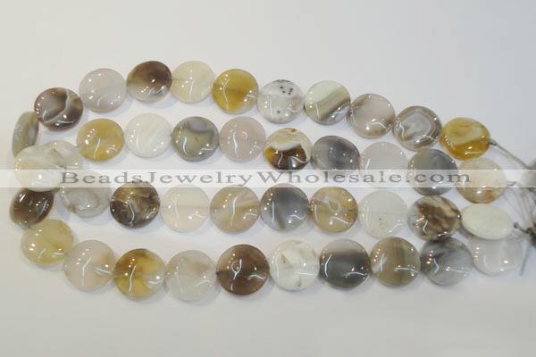 CAG2438 15.5 inches 18mm flat round Chinese botswana agate beads