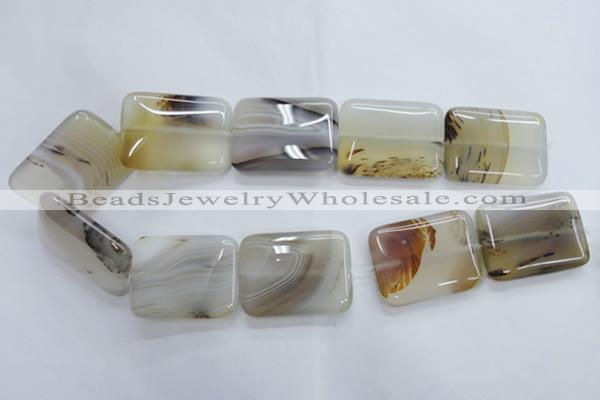 CAG3348 15.5 inches 30*40mm rectangle natural grey agate beads