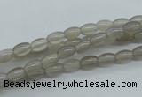 CAG3560 15.5 inches 4*6mm rice grey agate gemstone beads