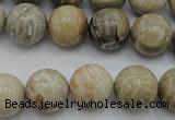 CAG3885 15.5 inches 14mm round chrysanthemum agate beads