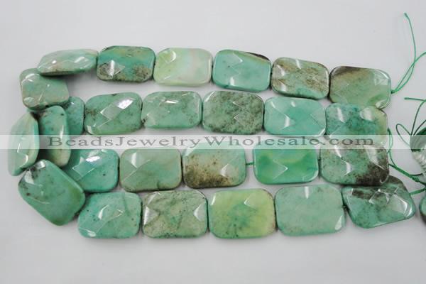 CAG3938 15.5 inches 22*30mm faceted rectangle green grass agate beads