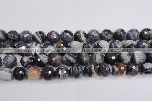 CAG5965 15.5 inches 16mm faceted round botswana agate beads wholesale