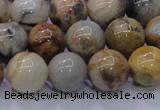 CAG6673 15.5 inches 10mm round natural crazy lace agate beads