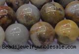 CAG6675 15.5 inches 14mm round natural crazy lace agate beads