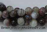 CAG736 15.5 inches 8mm round botswana agate beads wholesale