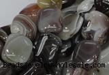 CAG737 15.5 inches 10*14mm rectangle botswana agate beads wholesale