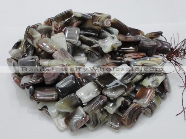 CAG740 15.5 inches 16*20mm rectangle botswana agate beads wholesale