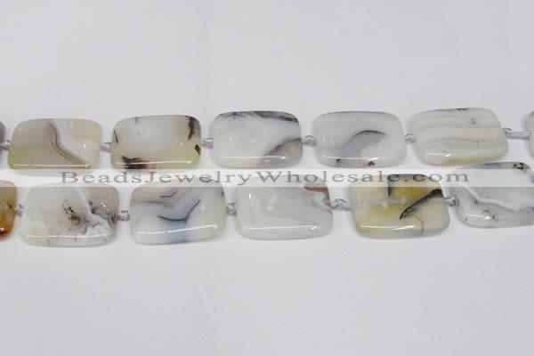 CAG7425 15.5 inches 25*35mm rectangle Montana agate beads