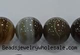 CAG9207 15.5 inches 16mm round line agate gemstone beads