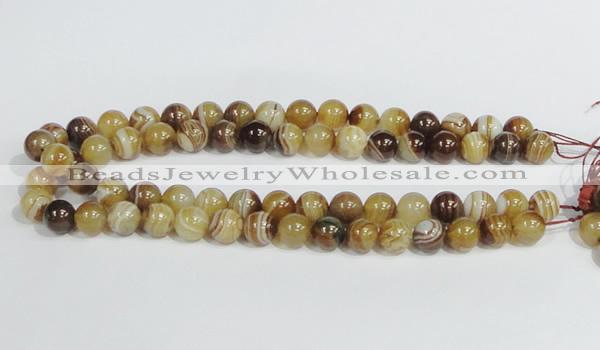 CAG939 16 inches 12mm round madagascar agate gemstone beads