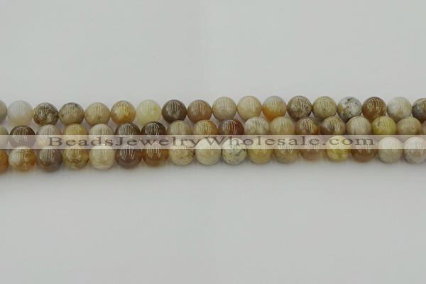 CAG9402 15.5 inches 8mm round ocean fossil agate beads wholesale