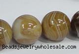 CAG943 16 inches 20mm round madagascar agate gemstone beads