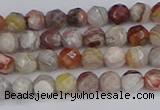 CAG9860 15.5 inches 4mm faceted round Mexican crazy lace agate beads