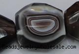 CAG992 15.5 inches 30*40mm faceted freeform botswana agate beads