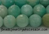 CAM1563 15.5 inches 10mm faceted round Russian amazonite beads