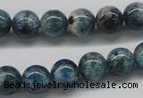 CAP06 15.5 inches 10mm round apatite gemstone beads wholesale