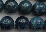 CAP403 15.5 inches 10mm round A grade natural apatite beads