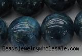 CAP405 15.5 inches 14mm round A grade natural apatite beads