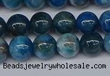 CAP412 15.5 inches 8mm round apatite gemstone beads wholesale